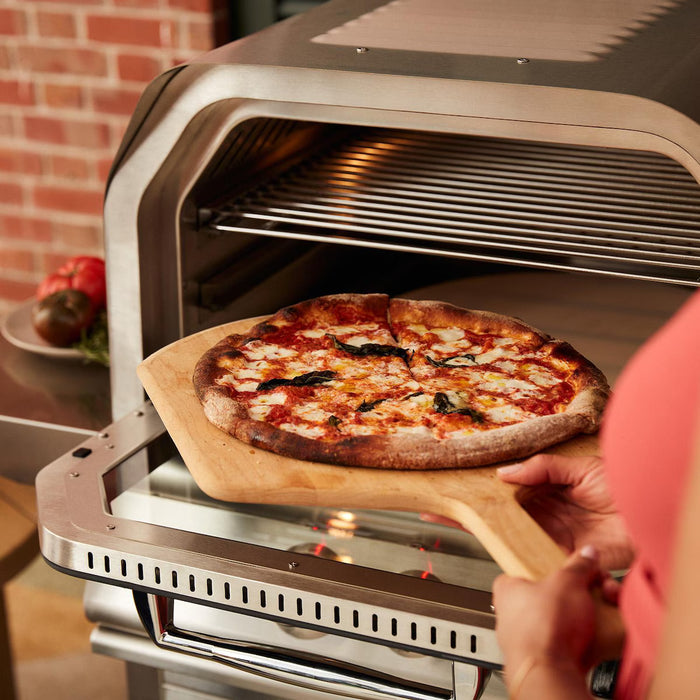 Blaze 26-Inch Countertop Natural Gas Outdoor Oven W/ Rotisserie & Countertop Sleeve - BLZ-26-PZOVN-NG